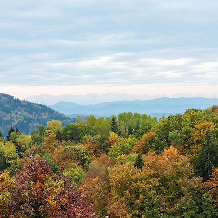 Apartment On The Edge Of The Forest Kleines Wiesental Extérieur photo